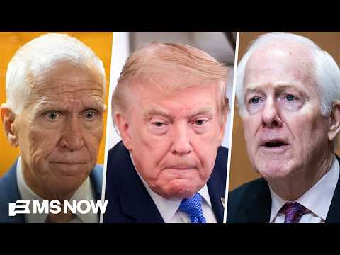 Tillis, Cornyn 'are only going to be remembered for Trump': Ex-GOP Adviser