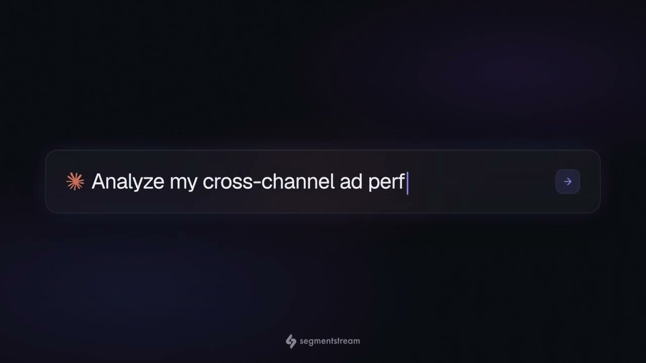 Introducing SegmentStream AI