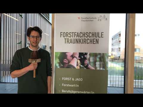 Waldcampus Traunkirchen: Forstfachschule