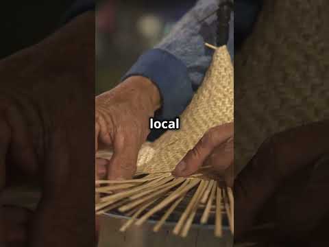 Top 5 Must Visit Places in Takayama. 😱🌟💥