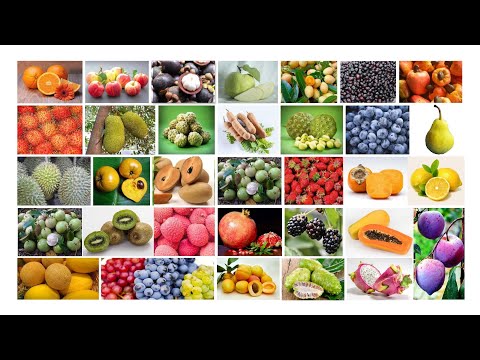 100+ Names of Fruits in English | Fruits Name English Learning | Popular Fruits of the World