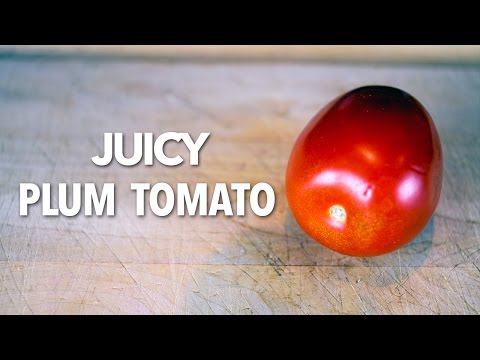 download lagu mp3 mp4 Plum Tomatoes Vs Regular Tomatoes, download lagu Plum Tomatoes Vs Regular Tomatoes gratis, unduh video klip Plum Tomatoes Vs Regular Tomatoes