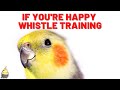 IF YOU RE HAPPY With WHISTLE 1 HOUR Whistling Songs Cockatiel Singing Training Whistle