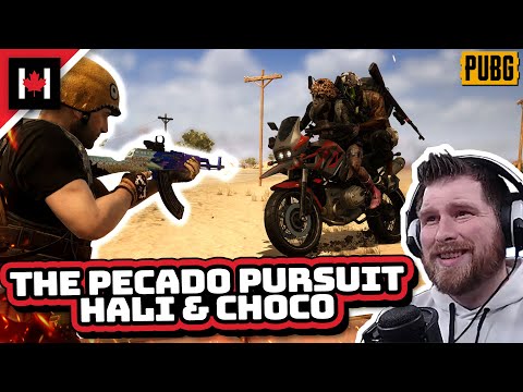 CHOCOTACO - "We're out of Gas!" HALIFAX - "They're out of LIFE!"