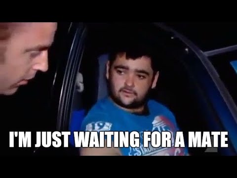 Just Waiting for A Mate