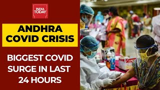 Andhra Pradesh COVID Crisis: State Reports Highest COVID-19 Tally In 24 Hours | DOWNLOAD THIS VIDEO IN MP3, M4A, WEBM, MP4, 3GP ETC