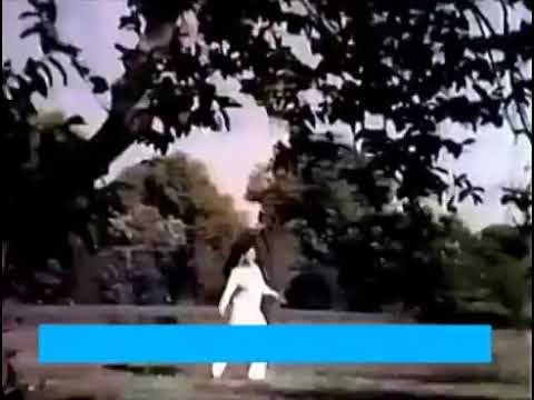 Tu payar ban aya Bahar ban I way - Film Charda Suraj Video song