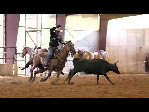 Patrick Smith: Letting Your Heel Horse Work
