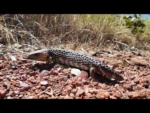 39 Dumbarton Road, Dumbarton, WA 6566, 0 slaapkamers, 0 badkamers, Section