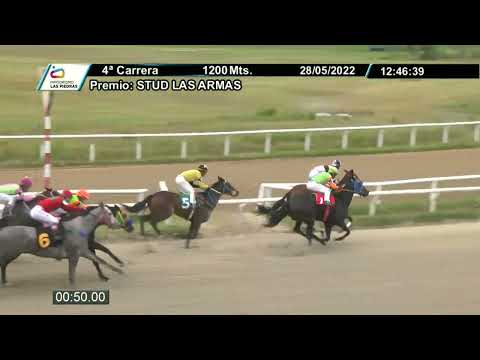 220528 C04 - AMY WINEHOUSE - HIPODROMO LAS PIEDRAS