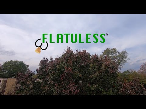 Flatuless