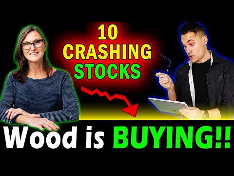 10 Stocks Cathie Wood is Buying RIGHT NOW on the Dip!