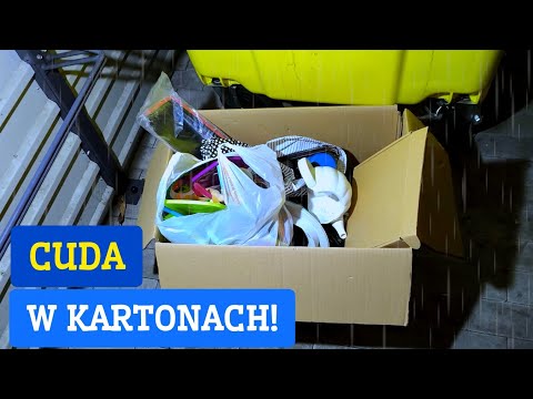 Ludzie wyrzucają do śmieci kartony pełne skarbów! Antyki Starocie | Śmietnikowy Raj odc.297