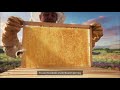 Pure Honey 100 Natural Product Of Bees