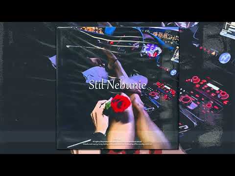 [BASS BOOSTED] Berechet ❌ @MirunaDiaconescu - Stil Nebunie (Romina VTM OST)