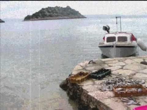 klapa Dingac   Tija bi te zaboravit