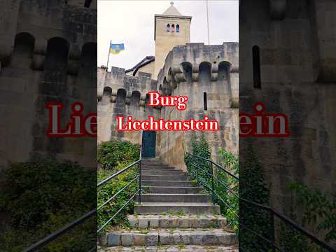 Burg Liechtenstein 🏰 | The Castle That Named a Country! #shrots #travel
