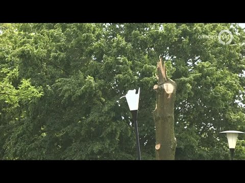 GLD Nieuws 5 juni 2019 - Woensdag 5 juni