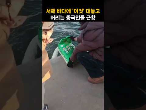 서해에 '이것' 대놓고 버리는 중국인들 근황