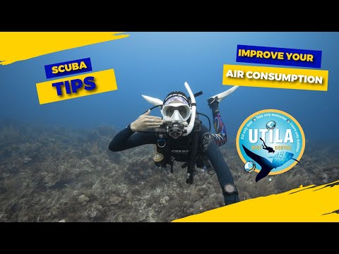 HOW TO IMPROVE YOUR AIR CONSUMPTION | Scuba Diving Tips | UTILA DIVE CENTER