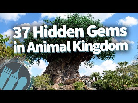 download lagu mp3 mp4 Animal Kingdom Tips And Secrets, download lagu Animal Kingdom Tips And Secrets gratis, unduh video klip Animal Kingdom Tips And Secrets