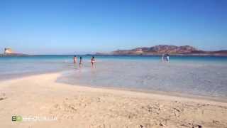 preview picture of video 'Sardegna: Stintino, Spiaggia La Pelosa'
