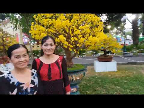 Chợ Hoa Xuân Tao Đàn Năm 2024