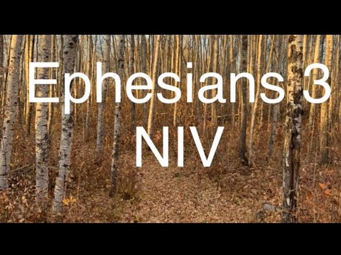 Ephesians 3 NIV Audio