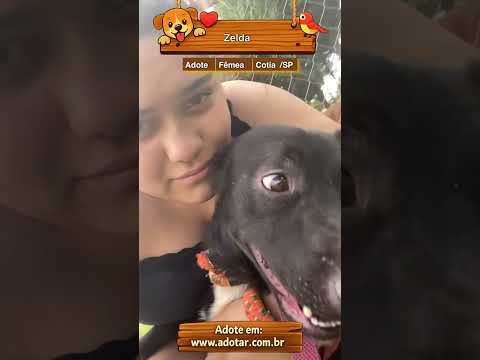 Vídeo de Zelda