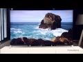 Sony 65"-X90C - De dunste uhdtv ooit