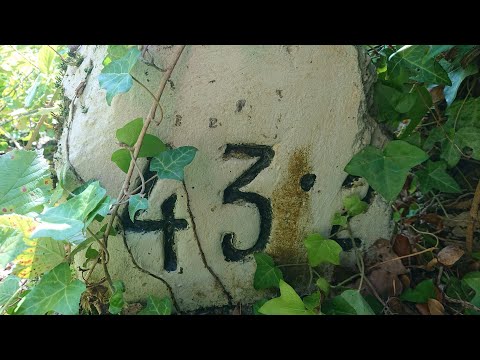 Donauuferbahn (stillgelegt) Urfahr Km 38.0 - Marbach a. d. Donau Km 49.2