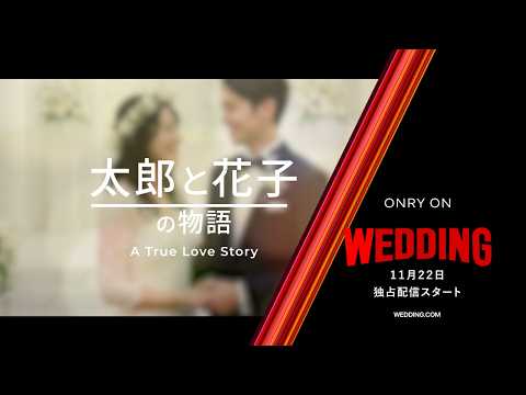 映画予告風のオープニングムービー制作します イメージ1