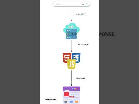 HOW WEBSITE WORKS ?🤔 |    #shorts #viralshorts