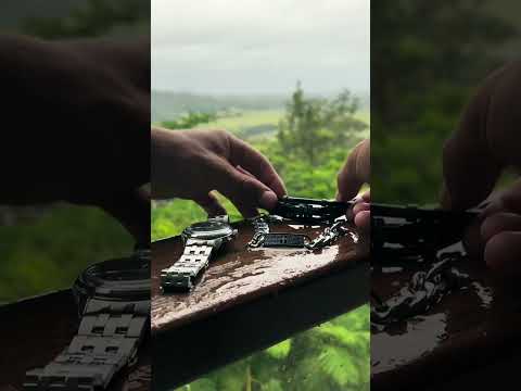 Elevate your fashion with Noble Effects