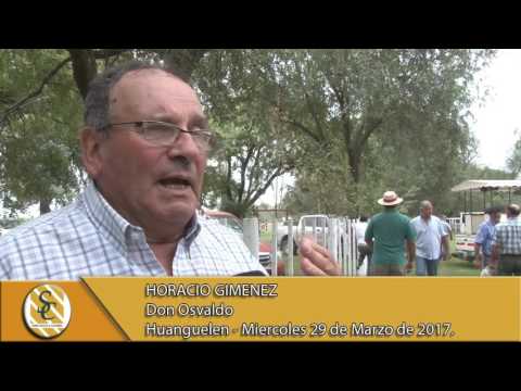 29-03-17 Nota Horacio Gimenez - Martin y Alonso S.R.L. - Huanguelén