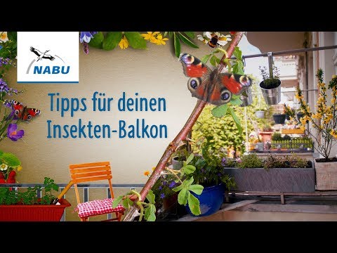 NABU Tipps für den Insektenbalkon