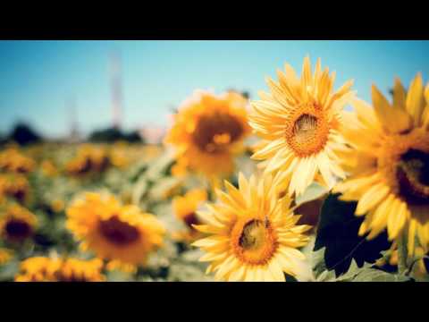 Jewish Man - The Garden Of Eden (140 BPM)