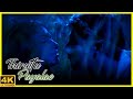 Thiruttu Payale Tamil Movie 4K Abbas Affair With Malavika Jeevan Sonia Aggarwal API