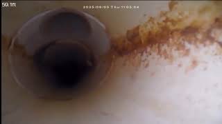 MONDOR SEWER TO HOME