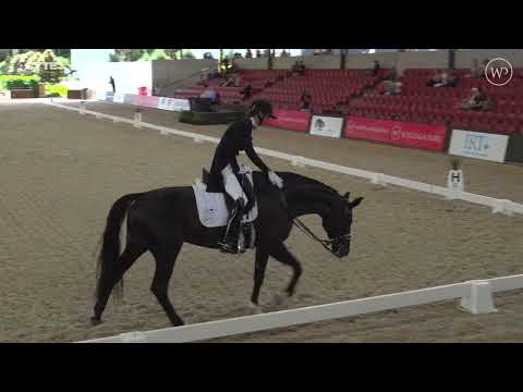 Dressage by the Sea 2023 Friday Feb 24 Part 2