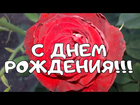 Красивое поздравление с днем рождения.С днем рождения!!!