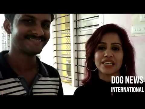 Promo of Dog New International by Anchor Ranjini Haridas||ചാനൽ രഞ്ജിനി  ലോഞ്ച് ചെയ്തു