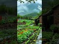Rural Life Is Simple And Peaceful 71 Rural Village Countryside Relaxing Simplelife Garden