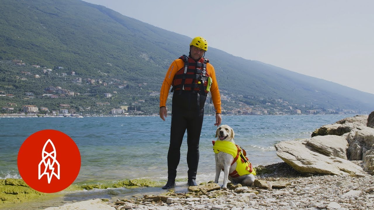 Meet Italy's Lifeguard Dogs thumnail