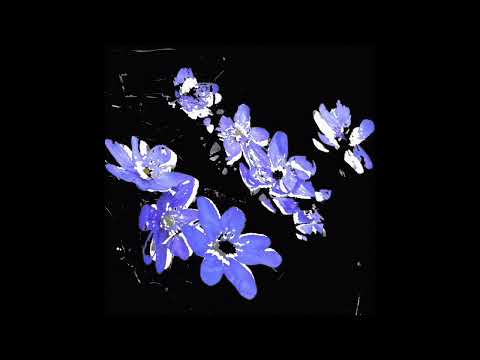 5v - last chance + inssekt, mint (mental) 