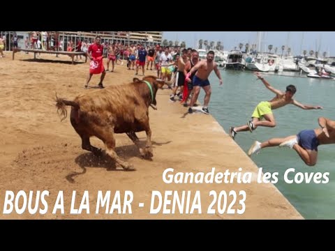 BOUS A LA MAR - DENIA 2023 - Ganadetria les Coves