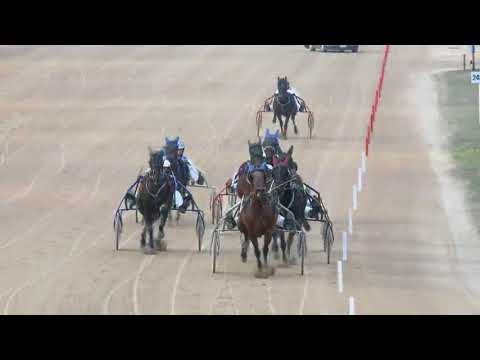 2018.03.24 8 futam ügető Kincsem Park