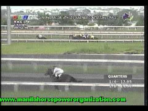 2010 PHILRACOM 4th Leg JUVENILE COLTS STAKES RACE MHP SLLP SEPT. 12, 2010 RACE 4 NAUGH NAUGH.mpg