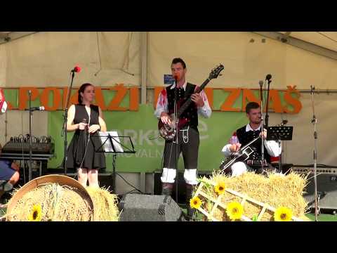 Ansambel Blaža Hutevca - Avtoštoparka (v živo)