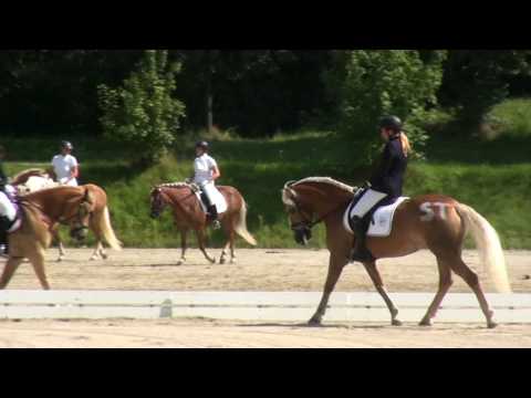 Adriana Ringdorfer - Penita - Hafi L - Stadl Paura 2016